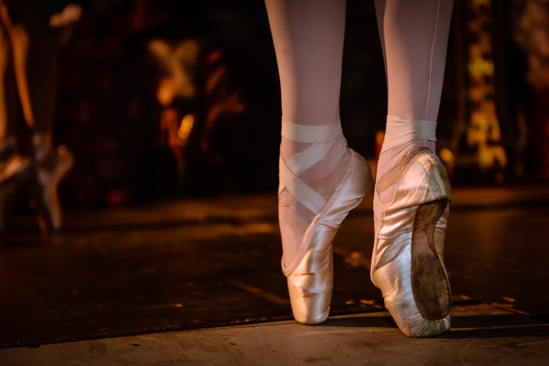 missing__0003_DSC_2625